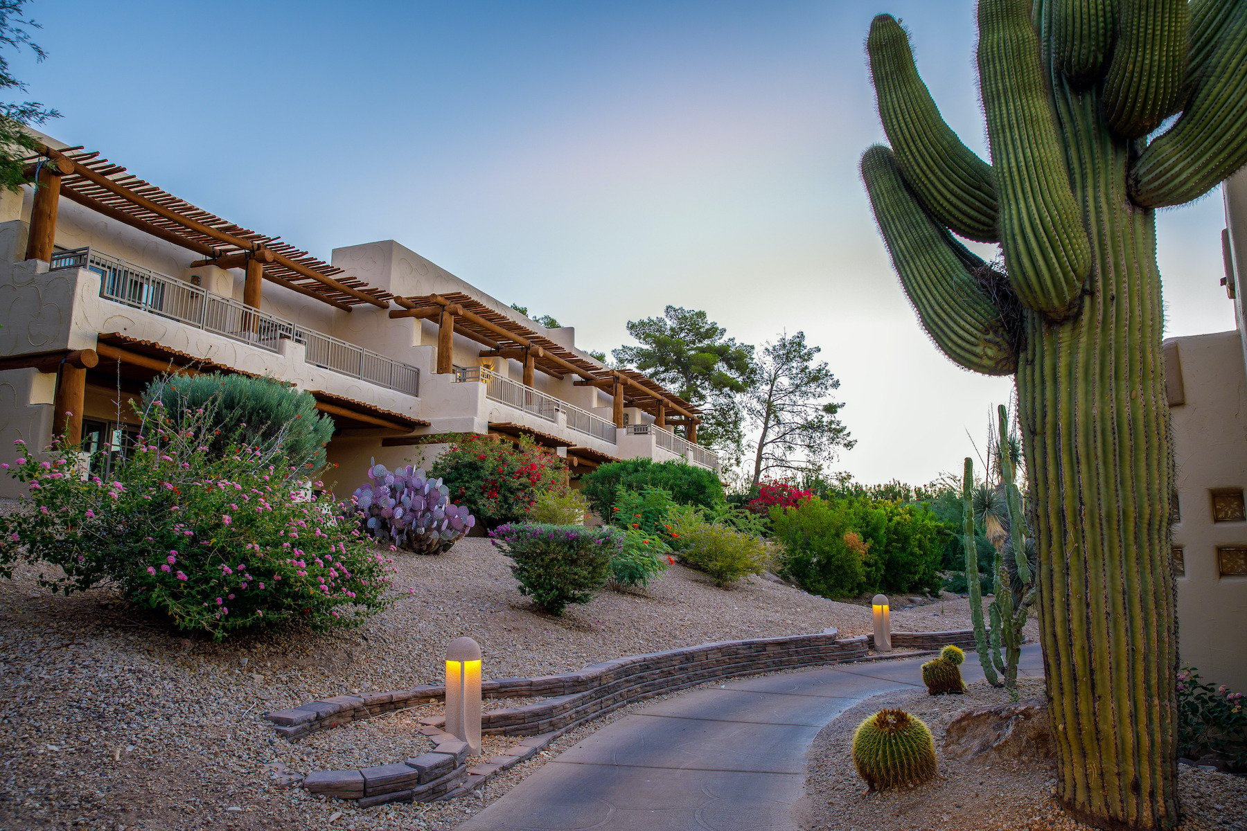 a-review-of-the-best-hoa-landscaping-companies-in-phoenix